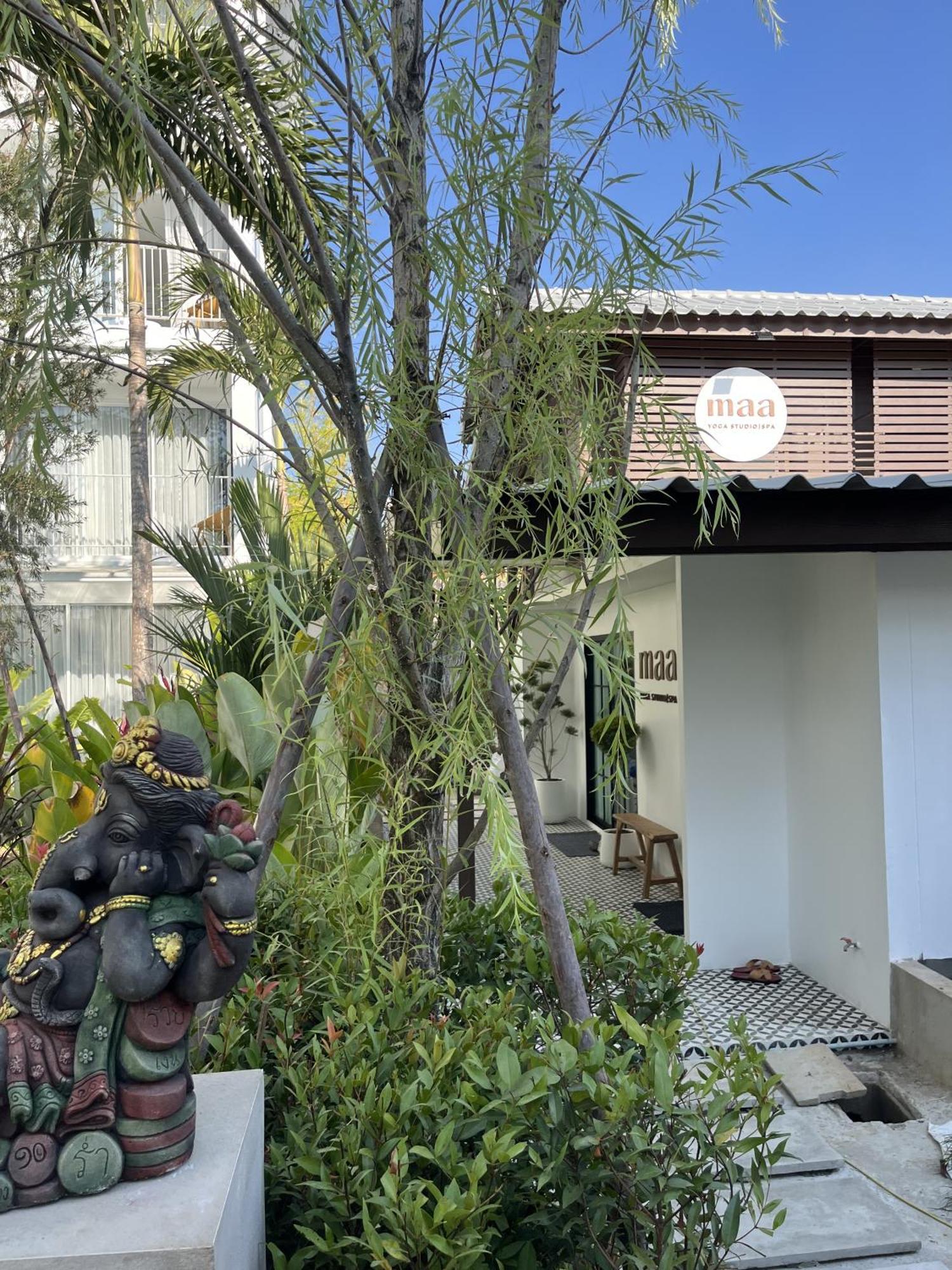 Lis Hotel Chiangmai Chiang Mai Eksteriør billede